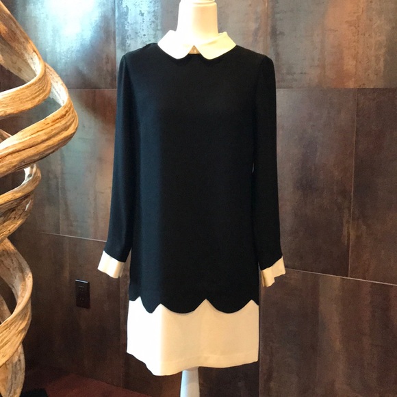 CeCe Dresses & Skirts - CeCe Demure Dress